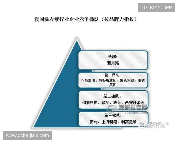 ag真人是什么公司，行业专家为你全面解读其品牌实力与行业影响力