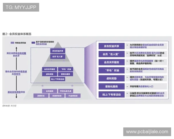 ag贵宾厅官方网详细解析会员权益和使用流程指南 ag贵宾厅官方网详细解析会员权益和使用流程指南