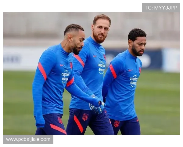 访问西甲ag官网获取最新赛程安排和球队详细信息